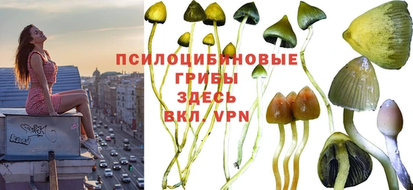 эйфоретик Белокуриха