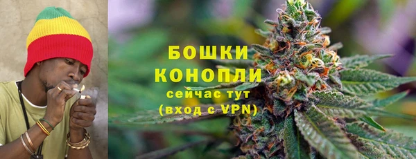 эйфоретик Белокуриха