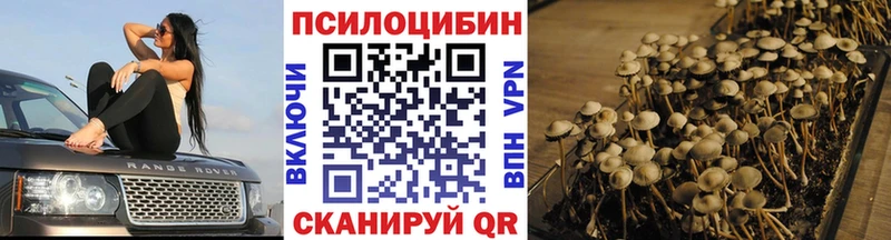 Галлюциногенные грибы Magic Shrooms  закладка  Окуловка 